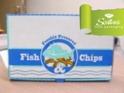 Fish Boxes Medium 