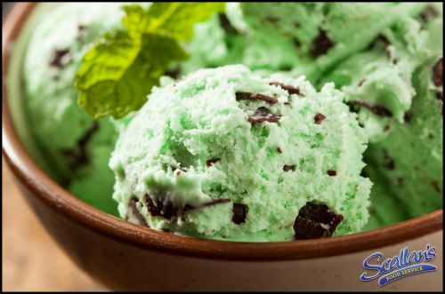 Apple Farm Mint Ice Cream  