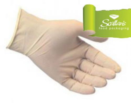 Vinyl Gloves x 100