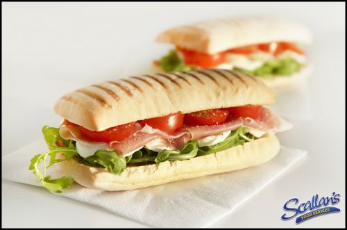 Italian Style Panini (4)